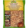 Top Taste Smažená sušená cibuľa (200g)