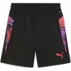 Puma IndividualCUP Training Shorts Adults Puma Black L