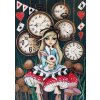 MAGNOLIA Puzzle Alenka a čas 1000 dílků