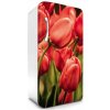 Fototapeta Dimex Red Tulips 65 x 120 cm FR120-012 (Samolepiace fototapety na chladničku )