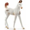 Schleich Žriebä marwari 14896