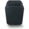 BLUESOUND Pulse Flex 2i černá