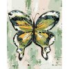 ZUTY Maľovanie podľa čísel - ZELENOŽLTÝ MOTÝĽ (HALEY BUSH) Rámovanie: bez rámu a bez vypnutia plátna, Rozmer: 80x100 cm