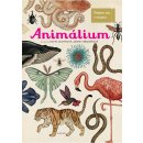 Kniha Animalium