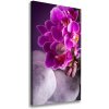Vertikálny foto obraz na plátne Ružová orchidea 50x100 cm