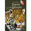 Jaguár v kocovině - Jan Dungel
