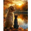 Norimpex diamantové malování Koťátko s pejskem na břehu 30 x 40cm