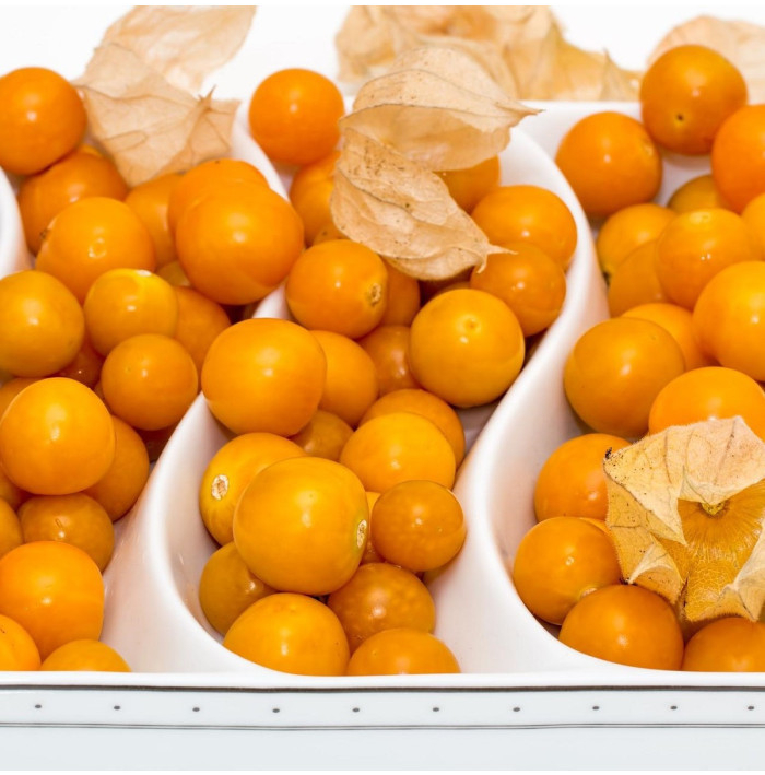 Machovka peruánska - Physalis peruviana - semená - 10 ks