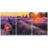 Painting Queens Painting Queens Maľovanie podľa čísel - Levanduľový záhon (sada 3 ks), 80 × 120 cm, bez rámu (PBNSET/03LAVENDERFLOWERBED/80X120_80X120_80X120/WO)