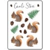 Samolepky Canli - Veverička (A6)