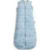 ERGOPOUCH Vak na spanie organická bavlna Jersey Dragonflies 8-24 m, 8-14 kg, 2,5 tog ZEPJB-2.5T08-24MDF23