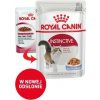 Royal Canin Kitten Sterilised 12 x 85 g