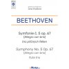 Beethoven: Symfonie č. 5 op 67 Osudová trio příčných fléten