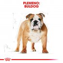 Krmivo pre psa Royal Canin Bulldog Adult 12 kg