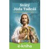 Svätý Júda Tadeáš - veľký pomocník v ťažkých chvíľach - kolektív autorov
