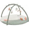 Hauck Hracia deka s hrazdou Relax N Watch Water Animals
