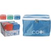 Termo taška COOL 4 l, 21 x 15 x v. 15 cm, zelená