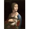 Obrazová reprodukcia The Lady with the Ermine (Cecilia Gallerani), c.1490, Vinci, Leonardo da, 30 × 40 cm
