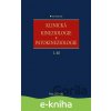 E-kniha Klinická kineziologie a patokineziologie - Ivan Dylevský