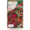 Semená Koleus (Žihľava okrasná) mix farieb, zmes 0,1g - Torseed