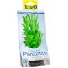 Tetra Hygrophila 15cm-rastlina plast.S