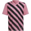 Entrada 22 Graphic Jersey Jr HC2632 - Adidas 128 cm