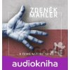 K české národní povaze - Zdeněk Mahler