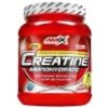 Amix Creatine Monohydrate 1000 g