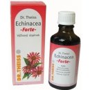 Dr.Theiss Echinacea forte sol.por.1 x 50 ml