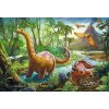 Puzzle Dinosaury v pohybe - 60 dílků
