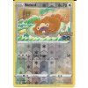 Pokémon karta Bidoof 059/078 Reverse Holo - Pokémon Go