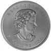 Royal Canadian Mint strieborná minca minca Maple Leaf 2016 1 Oz