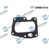 Tesnenie, EGR ventil Dr.Motor Automotive DRM01818