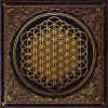 Bring Me The Horizon Sempiternal • VINYL