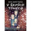 V šedých tónech (komiks) [Sepetys Ruta]