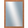 DANTIK - Zrkadlo v rámu, rozmer s rámom 50x70 cm z lišty LYON hnedá (2750)