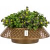 Kvetináč plast žltý Botle 35 cm x 35 x 11,5 cm