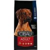 CIBAU Dog Adult Maxi 12 kg + 2 kg zdarma