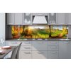 Dimex, kuchynská zástena z akrylátového skla - Lúka, š. 60 x d. 240 cm