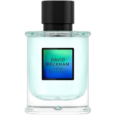 David Beckham True Instinct pánska parfumovaná voda 75 ml