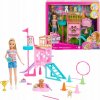 Mattel Barbie Family & Friends Stacie s Puppy Playground