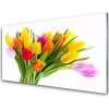 Sklenený obklad Do kuchyne Tulipány kvety rastlina 100x50 cm