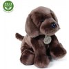 Eco-Friendly Rappa pes labrador sediaci 26 cm