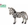 Atlas D Zebra 10cm