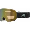 ALPINA Penken Q-lite okuliare, green matt/mirror gold