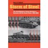 Storm of Steel (Mary Habeck)(Brožovaná)
