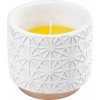 Sviečka Citronella, repelentná, v dekoračnom kvetináči, biela, 200 g, 110x100 mm