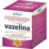 Vazelina aloe vera 110g