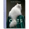 Walter Chandoha. Cats. Photographs 1942-2018