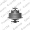 Termostat chladenia CALORSTAT by Vernet 485688J 485688J
